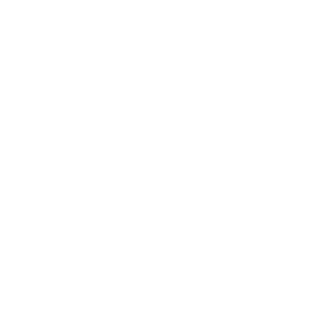 Mapa global estilizado